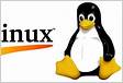 Le 7 migliori distribuzioni Linux del 2023 da installare subit